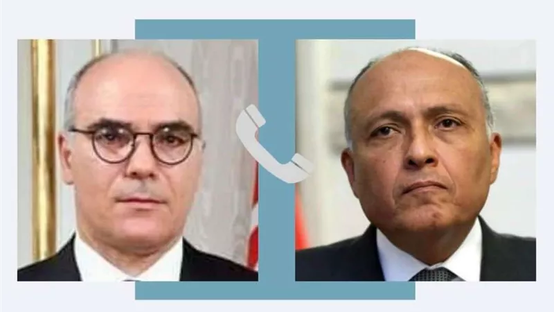 وزير الخارجية يهنئ وزير خارجية تونس الجديد بمنصبه