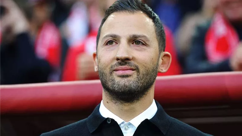 تعرف على إنجازات تيديسكو مدرب منتخب بلجيكا الجديد