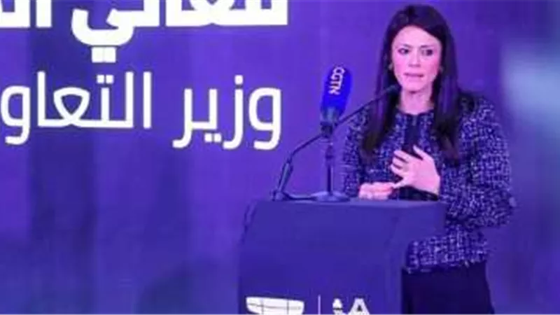 المشاط: تحفيز العمل بالطاقة المتجددة يعد أحد المحاور الهامة