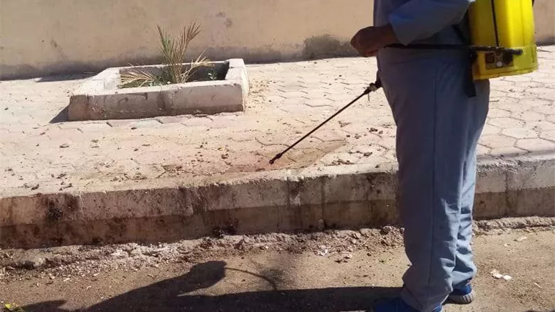 صحة الشرقية :توجه بتكثيف مكافحة الذباب وناقلات الأمراض بالمحافظة