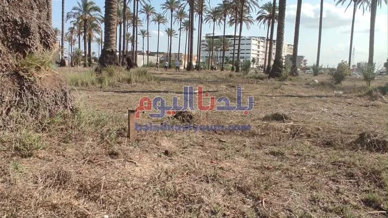 استرداد مساحة 25878 متر من أراضي أملاك الدولة بحوش عيسى.. صور