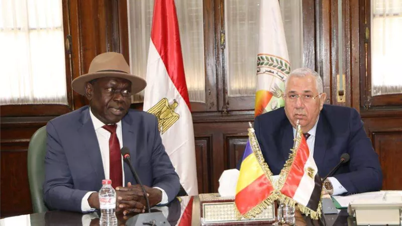 وزير الزراعة يبحث مع نظيره التشادي سبل التعاون في الأنشطة الزراعية