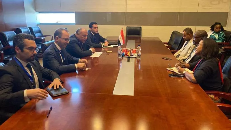 وزير الخارجية يلتقي وزير خارجية جزر القمر على هامش أعمال المجلس التنفيذي للاتحاد الإفريقي