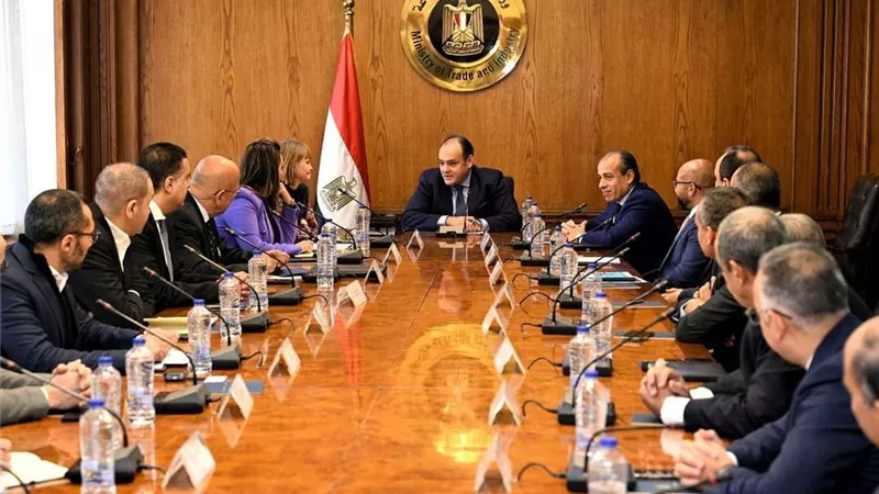 سمير: دعم ومساندة الاستثمارات الصناعية في السوق المصري