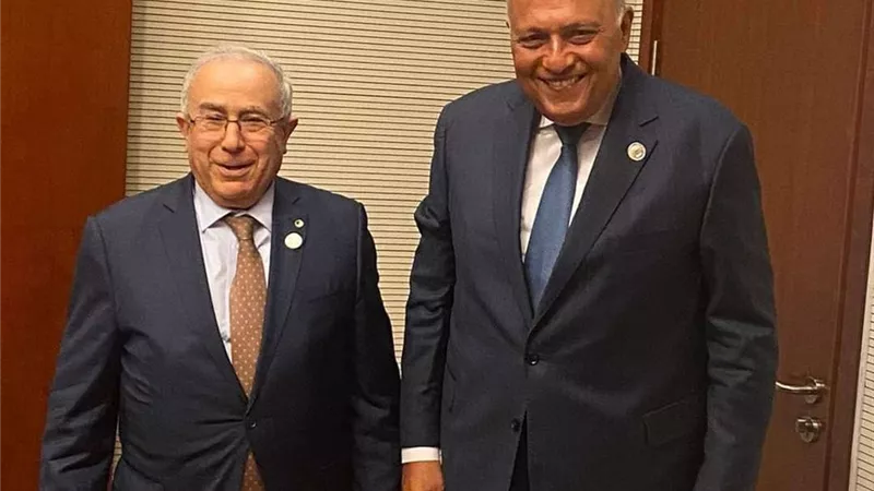 وزير الخارجية المصري يلتقي مع نظيره الجزائري