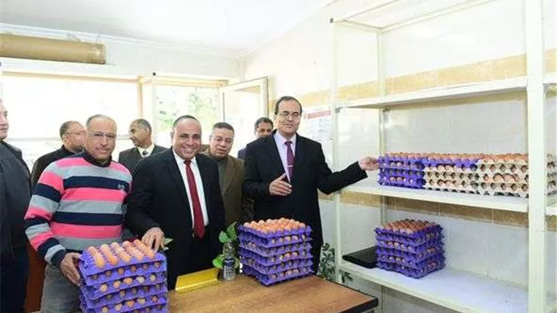 رئيس جامعة سوهاج يتابع طرح منتجات كلية الزراعة بمنفذ البيع