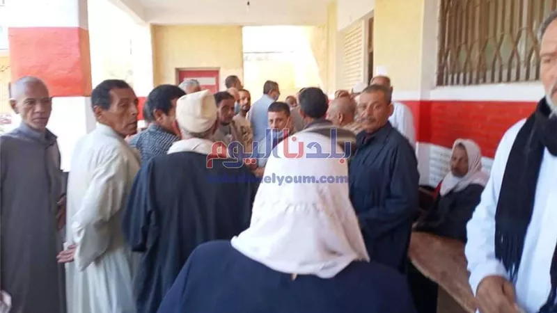 إقبال كثيف من المواطنين للإدلاء بأصواتهم في انتخابات النواب بالمحلة