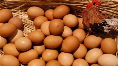 منال عز الدين: غسل البيض وتخزينه يقلل من فترة صلاحيته