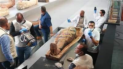 وزير الأثار: اكتشاف 100 تابوت مغلق ملون بمنطقة سقارة