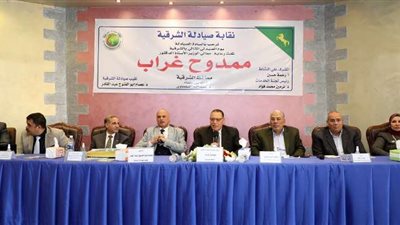 بحضور المحافظ.. نقابة الصيادلة بالشرقية تحتفل باليوم المثالي
