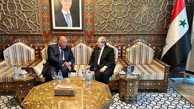 مباحثات مشتركة بين وزير الخارجية المصري ونظيره السوري