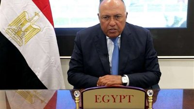 سامح شكري: سنوفر ما نستطيع من سبل التضامن مع الشعب التركي