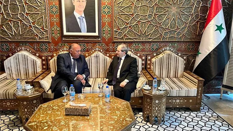 مباحثات مشتركة بين وزير الخارجية المصري ونظيره السوري