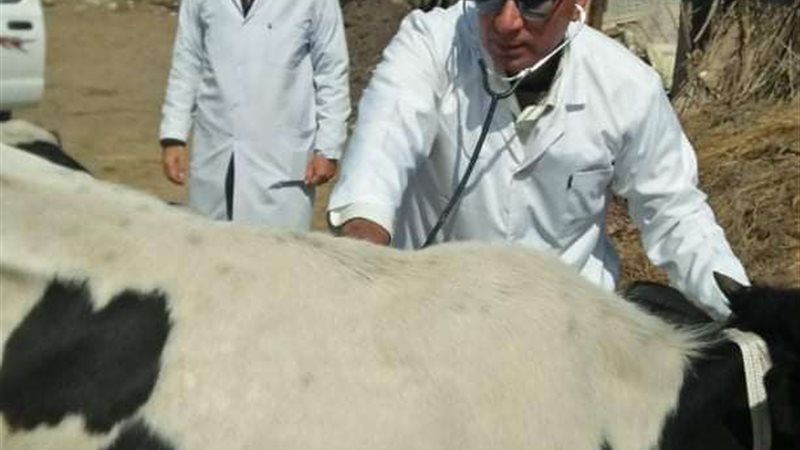قافلة بيطرية من جامعة