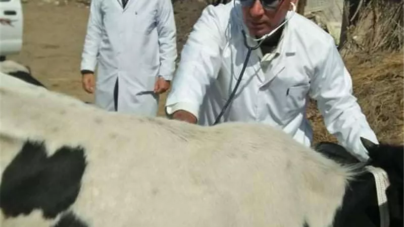 جامعة الزقازيق توجه قافلة بيطرية لقرية اللغم بمركز أبوحماد