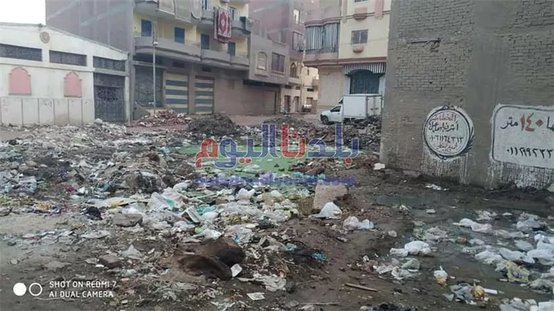 مياه الصرف الصحى تحاصر منازل شارع أحمد شفيق بالمحلة (صور)