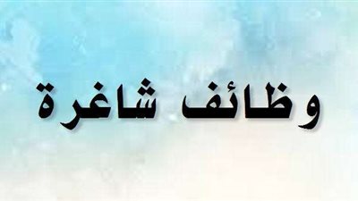 مرتبات عالية.. شروط التقديم على الوظائف الخالية بالجيزة