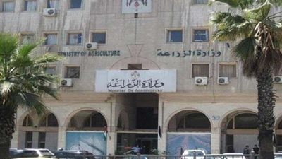 الزراعة تعلن عن توفير 300 ألف فرصة عمل (تفاصيل)