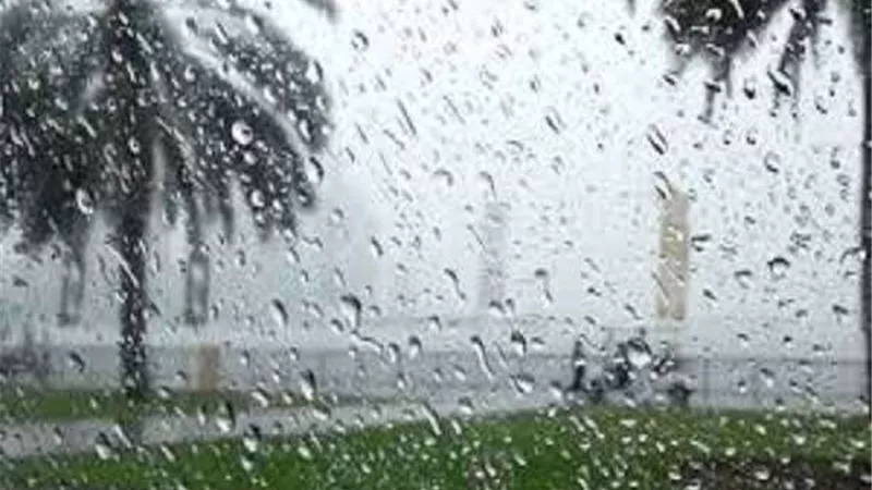 حقيقة تعطيل الدراسة بسبب الأمطار