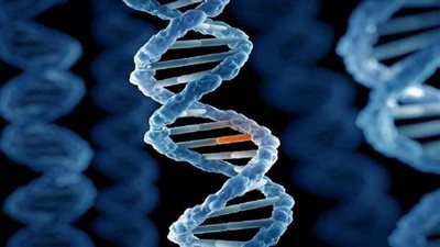 اكتشاف طفرة جينية فريدة تحمي من أمراض قد تهدد الحياة