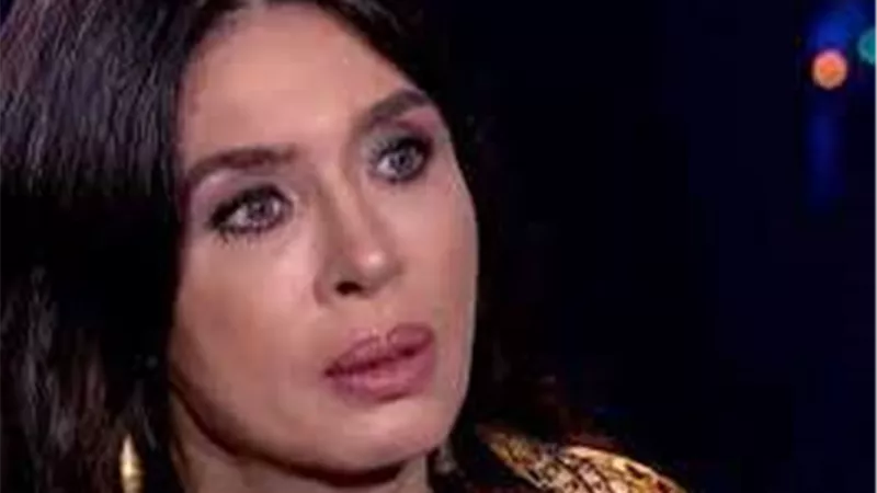 الفنانة دينا 
