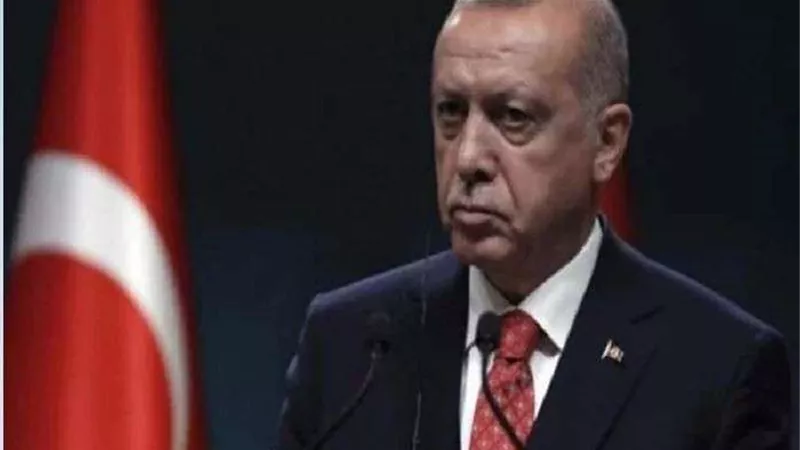 أردوغان يواصل استفزازاته ويوجه رسالة هامة بشأن التدخل في ليبيا