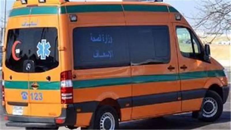 مصرع شخص وإصابة شقيقه فى حادث بالوادى الجديد
