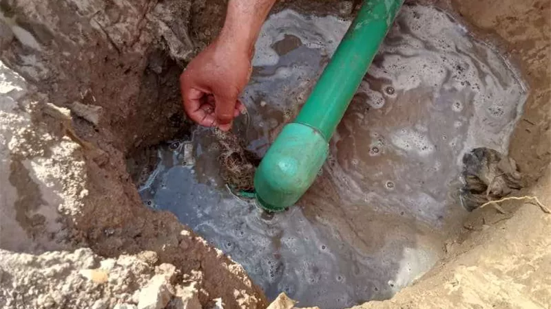 رئيس مياه القناة: استخراج جذور الأشجار من مواسير مدينة التوفيق وتطهير الشبكات