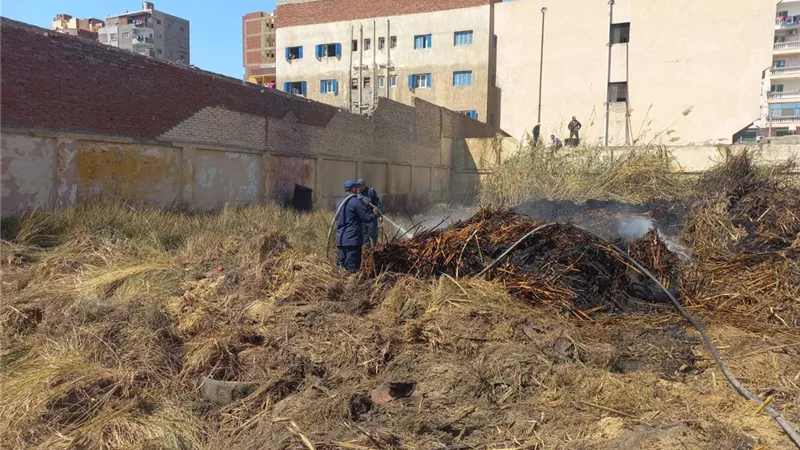 الحماية المدنية تسيطر على حريق هائل بحلفا وبوص بالإسماعيلية