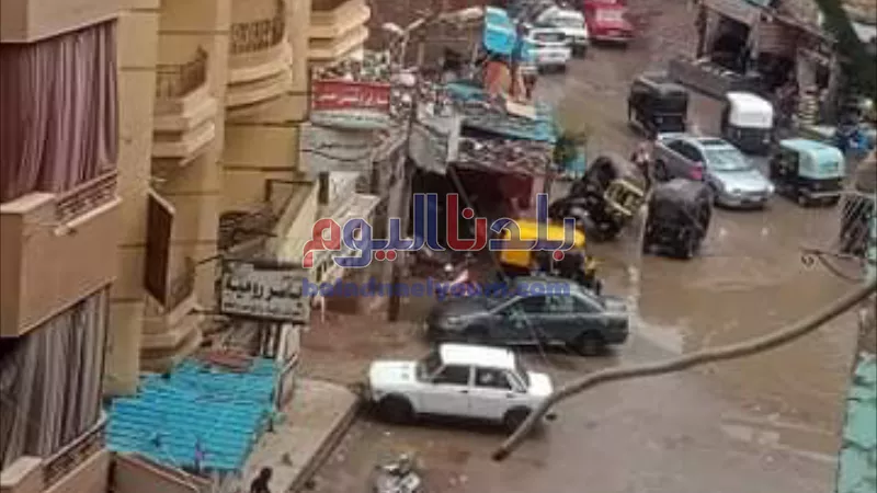 سقوط أمطار غزيره لليوم الثانى على التوالى بمحافظة الغربية (صور)