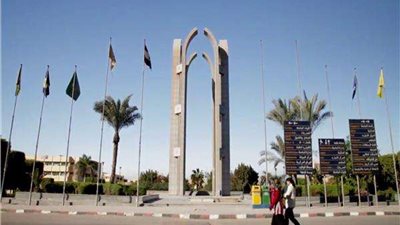جامعة حلوان تنظم اليوم العلمي الأول لمركز البحوث البينية