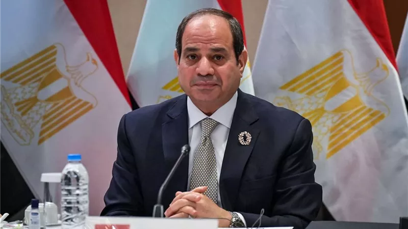 الرئيس السيسي: تفاهم حول رؤية مصر لمنظور حقوق الإنسان
