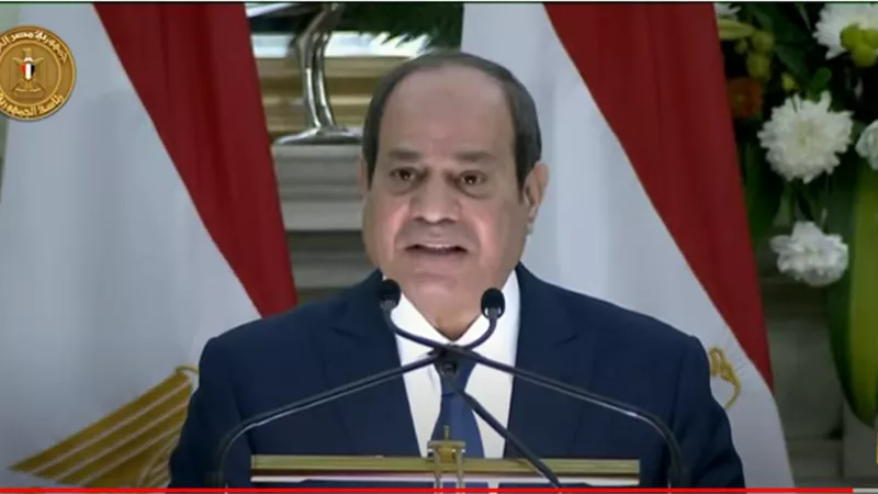 الرئيس السيسي: المباحثات مع رئيسة وزراء الدنمارك تطرقت لملف سد النهضة