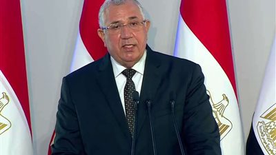 القمح في المقدمة .. أجرأ 3 قرارات بمصر لتأمين غذائها وقت الأزمات