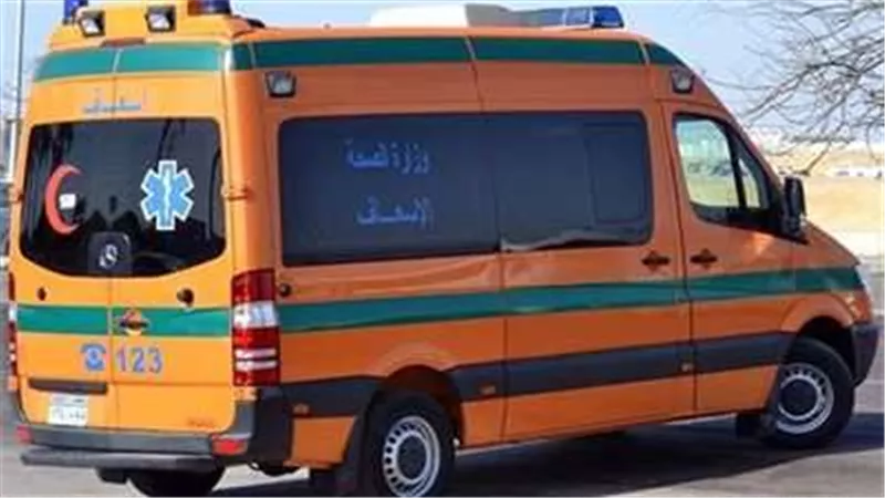 مصرع وإصابة شخصين في مشاجرة بقنا