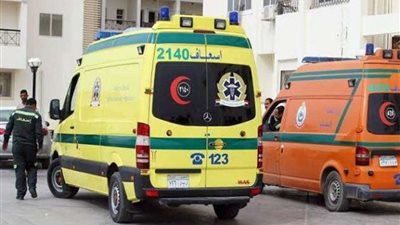 مصرع 9 أشخاص بينهم 3 أشقاء في انقلاب سيارة ملاكي بالمنيا
