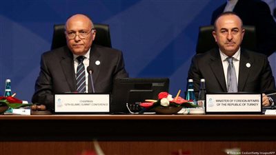 وزير الخارجية: العلاقات الاقتصادية بين مصر وتركيا تتم على كافة الأصعدة