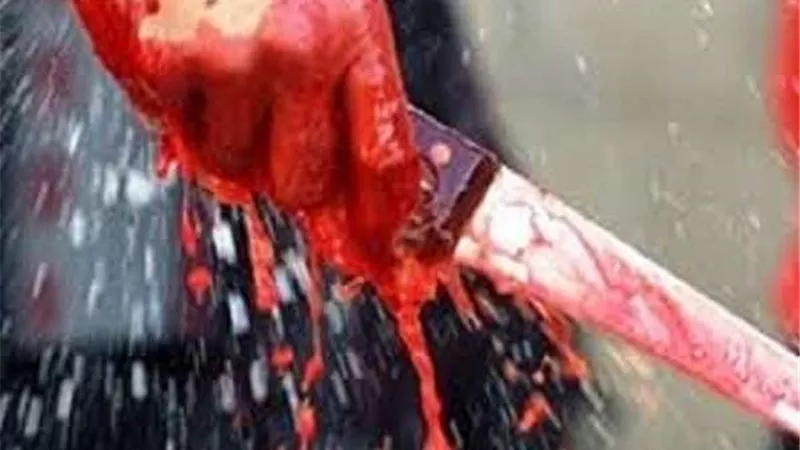 عامل يمزق جسد صديقه بسلاح أبيض بشبرا الخيمة
