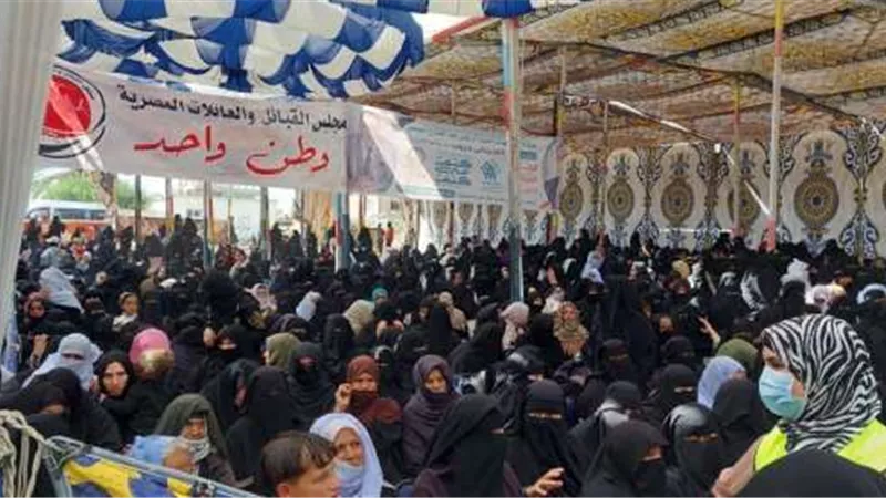 توزيع 70 ألف كرتونة.. مجموعة أبناء سيناء تشارك في مبادرة كتف في كتف