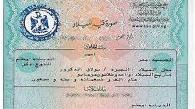 بدون طوابير.. خطوات استخراج شهادة الميلاد أونلاين