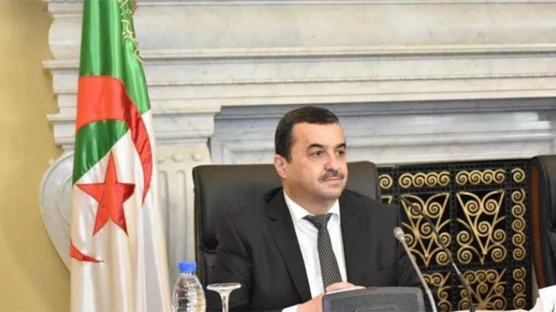 محمد عرقاب: توقعات البنك الدولي تشير إلى زيادة في أسعار المواد الخام المعدنية