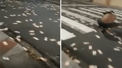 لصوص يستخدمون حيلة غريبة للفرار من الشرطة
