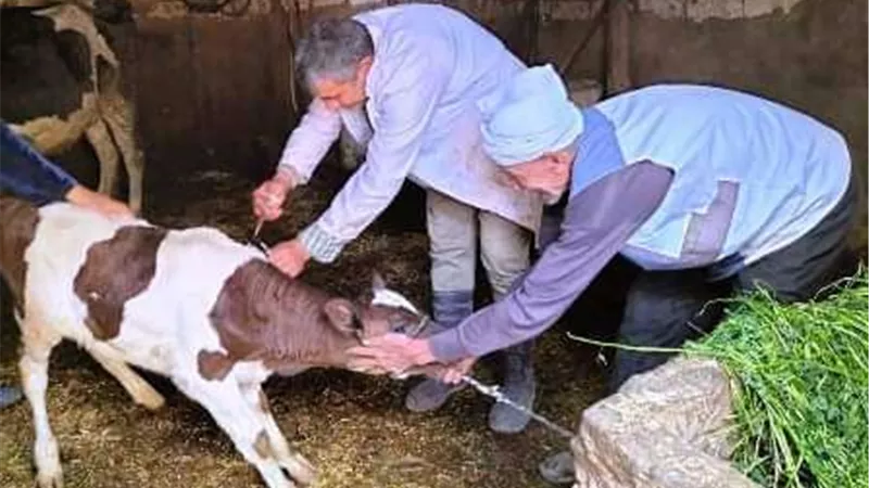 خلال أسبوعين.. 
