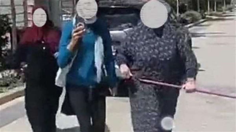 مشاجرة الشيخ زايد