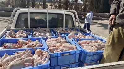 ضبط 1274 قضية تموينية متنوعة