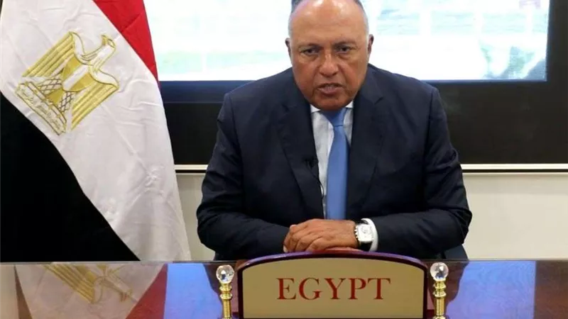 وزير الخارجية: العالم يدرك أهمية خفض الاعتماد على الوقود الأحفوري