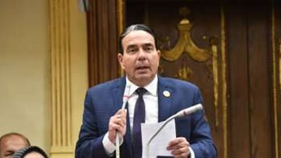 «أتحدى وجودها بأي منطقة في العالم».. وكيل حقوق الإنسان بالنواب يشيد بمراكز الإصلاح والتأهيل