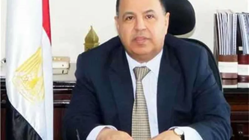 المالية: 307 ملايين دولار قيمة أوامر الدفع ضمن مبادرة استيراد السيارات للمصريين المقيمين  بالخارج