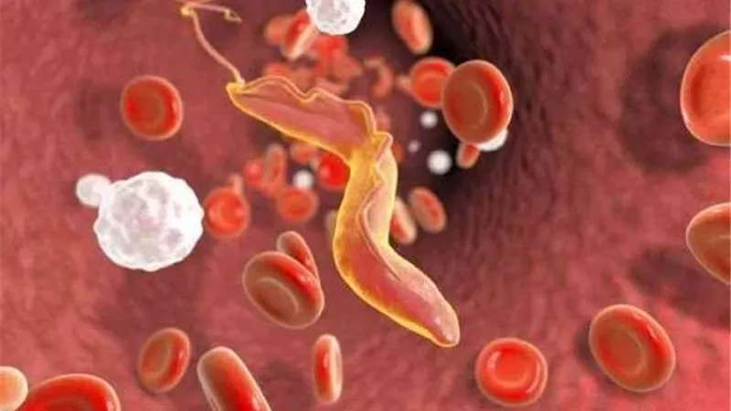 بالصدفة.. سيدة تكتشف ديدان في طعام طفلها والسبب