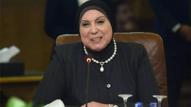 وزيرة الصناعة: 500 شركة من الكيانات الصغيرة تقدمت للحصول على «المساندة الفورية»